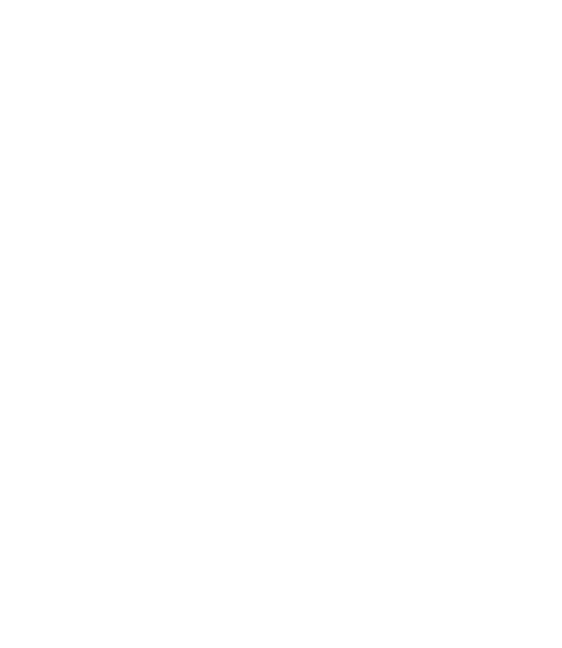 LANCETTI
